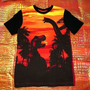 NWOT Boys CIRCO t-shirt in size 12/14